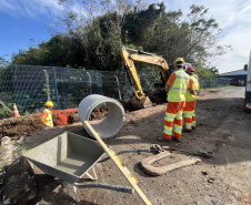 Ceasa Paraná em obras: sustentabilidade e modernização
