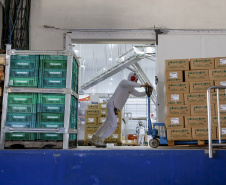 320 municípios registraram saldo positivo ou estável na geração de empregos em 2025