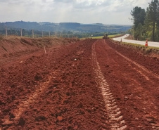 Ponta Grossa a Palmeira