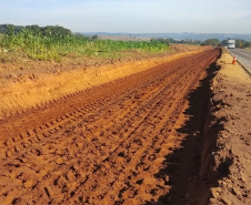 Ponta Grossa a Palmeira