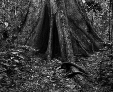 BRDE - mergulho caleidoscópico entre dragas e dragões, da fotógrafa Vilma Slomp nova exposição no Espaço Cultural BRDE