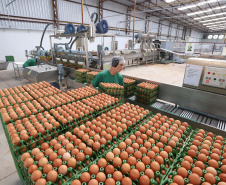 SEFA apresenta modelo pioneiro de “Plano Safra estadual” para outros estados