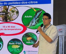 Simpósio na ExpoIngá reforça união de esforços no combate ao greening 