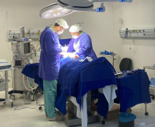 SESA Paraná realiza mais de duas mil cirurgias eletivas por dia