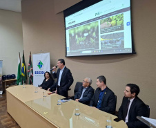 Capacitação em gestão de contratos reforça trabalho de servidores da defesa agropecuária