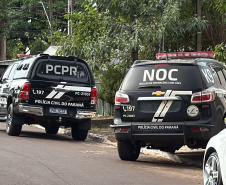 PCPR cumpre 14 ordens judiciais em operação de repressão qualificada ao tráfico de drogas em Cascavel