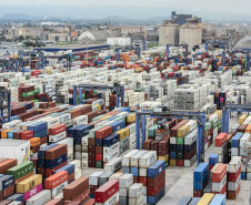 Com 44% da exportação nacional de frango, Porto de Paranaguá é o principal exportador de carnes brasileiras