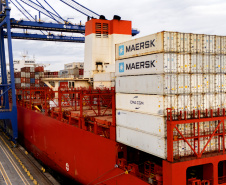 Com 44% da exportação nacional de frango, Porto de Paranaguá é o principal exportador de carnes brasileiras