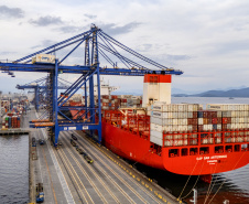 Com 44% da exportação nacional de frango, Porto de Paranaguá é o principal exportador de carnes brasileiras