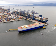 Porto de Paranaguá é o 1º a receber veículos elétricos fabricados por gigante chinesa que retoma vendas no Brasil