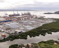 Porto de Paranaguá é o 1º a receber veículos elétricos fabricados por gigante chinesa que retoma vendas no Brasil