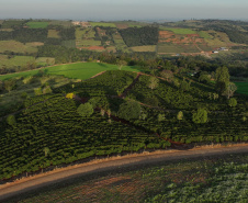 JANDAIA DO SUL - UFPR 