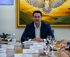 GOVERNADOR