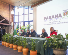Paraná promove encontro inédito para fortalecer arborização urbana nos municípios