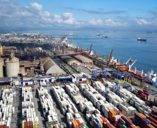 Com 44% da exportação nacional de frango, Porto de Paranaguá é o principal exportador de carnes brasileiras