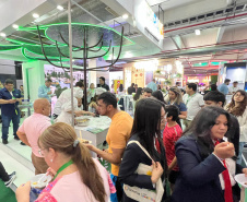 SETU - Empresários do turismo podem participar de três feiras internacionais com o Viaje Paraná