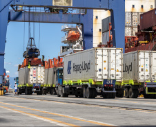Com 44% da exportação nacional de frango, Porto de Paranaguá é o principal exportador de carnes brasileiras