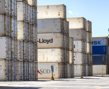 Com 44% da exportação nacional de frango, Porto de Paranaguá é o principal exportador de carnes brasileiras