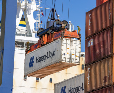 Com 44% da exportação nacional de frango, Porto de Paranaguá é o principal exportador de carnes brasileiras