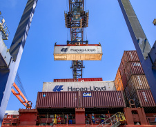 Com 44% da exportação nacional de frango, Porto de Paranaguá é o principal exportador de carnes brasileiras