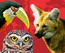 IAT LIVRO FAUNA