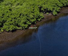 Recuperação de áreas verdes, combate ao desmatamento, cuidados com a água e a fauna e destinação correta dos resíduos sólidos: os indicadores que transformaram o Paraná em referência na proteção ao meio ambiente.