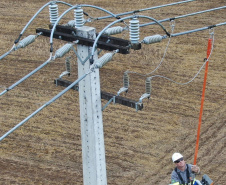 Rede automatizada da Copel identifica problemas e restabelece energia com rapidez