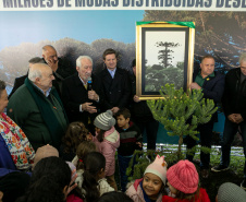 PLANTIO DE ARAUCARIA VICE