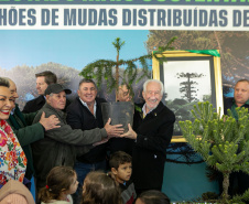 PLANTIO DE ARAUCARIA VICE