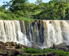 Recuperação de áreas verdes, combate ao desmatamento, cuidados com a água e a fauna e destinação correta dos resíduos sólidos: os indicadores que transformaram o Paraná em referência na proteção ao meio ambiente.