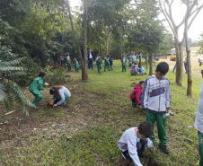 Ações do IAT durante a Semana do Meio Ambiente mobilizaram mais de 20 mil pessoas em todas as regiões do Paraná