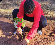 Ações do IAT durante a Semana do Meio Ambiente mobilizaram mais de 20 mil pessoas em todas as regiões do Paraná