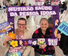 sesa