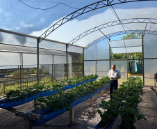Paraná lidera inovação com tecnologia europeia adaptada para agricultura tropical