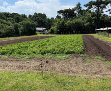 Paraná lidera inovação com tecnologia europeia adaptada para agricultura tropical