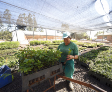 IAT anunciou plano de modernização sustentável de viveiros e laboratórios de mudas nativas durante capacitação promovida pela Gerência de Restauração Ambiental (GERA) do órgão
