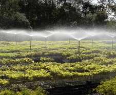 IAT anunciou plano de modernização sustentável de viveiros e laboratórios de mudas nativas durante capacitação promovida pela Gerência de Restauração Ambiental (GERA) do órgão