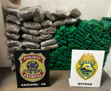 Ação integrada entre PMPR, PCPR e PF apreende mais de meia tonelada de maconha em Foz do Iguaç