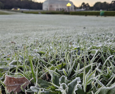 FRIO