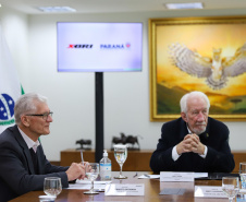 REUNIÃO VICE