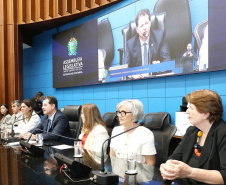 Paraná apresenta modelo inovador em políticas públicas para a pessoa idosa no MS