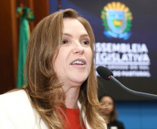 Paraná apresenta modelo inovador em políticas públicas para a pessoa idosa no MS
