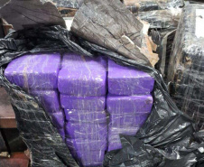 PCPR prende homem com 150 quilos de maconha na BR-277