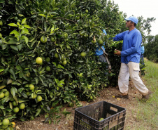 Dia de Campo da Expotécnica levará conhecimento prático aos produtores rurais