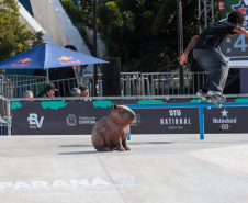 SKATE TARUMÃ SEXTA