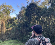 Sanepar - Com estudos e resgates de fauna e flora, Sanepar preserva espécies enquanto promove o saneamento no Paraná