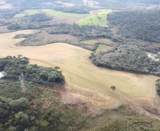 2ª Operação de Combate ao Desmatamento Ilegal da Mata Atlântica no Paraná de 2025 terminou com a lavratura de 164 Autos de Infração Ambiental (AIA)