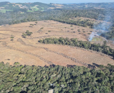 2ª Operação de Combate ao Desmatamento Ilegal da Mata Atlântica no Paraná de 2025 terminou com a lavratura de 164 Autos de Infração Ambiental (AIA)