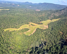 2ª Operação de Combate ao Desmatamento Ilegal da Mata Atlântica no Paraná de 2025 terminou com a lavratura de 164 Autos de Infração Ambiental (AIA)