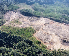 2ª Operação de Combate ao Desmatamento Ilegal da Mata Atlântica no Paraná de 2025 terminou com a lavratura de 164 Autos de Infração Ambiental (AIA)